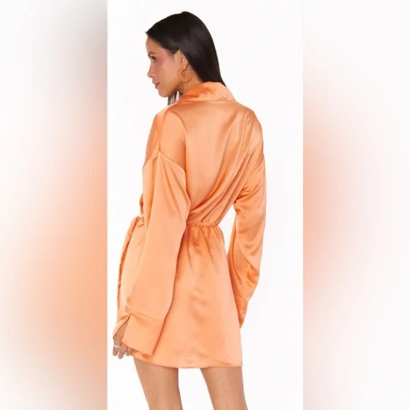 Show Me Your Mumu Clara Collared Mini Dress in Cantaloupe Luxe Satin Size XS - Picture 4 of 9